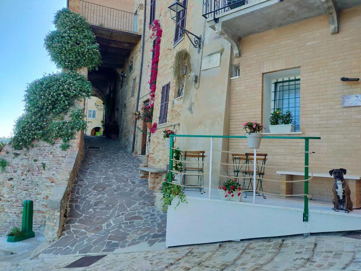Bnb La Casina Dei Nonni Campofilone Экстерьер фото