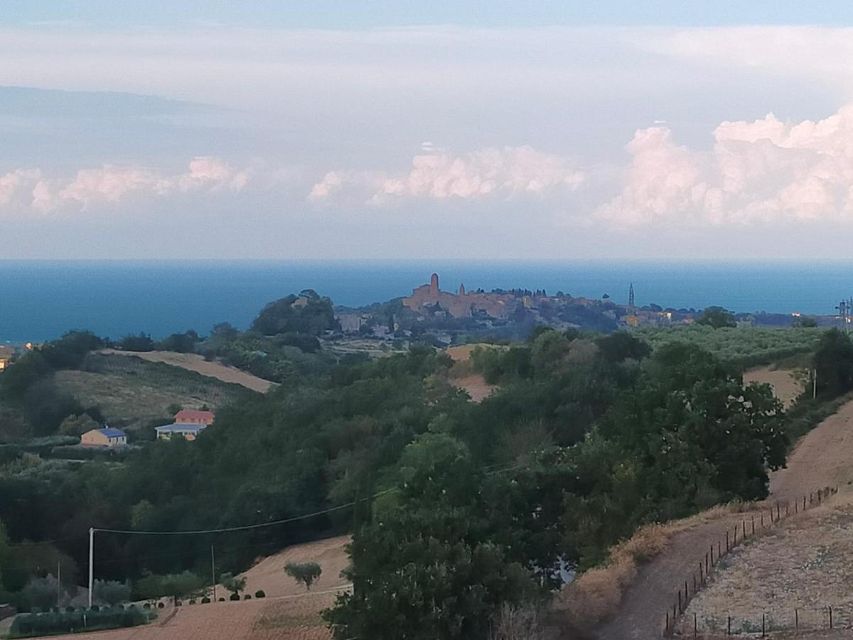 Bnb La Casina Dei Nonni Campofilone Экстерьер фото